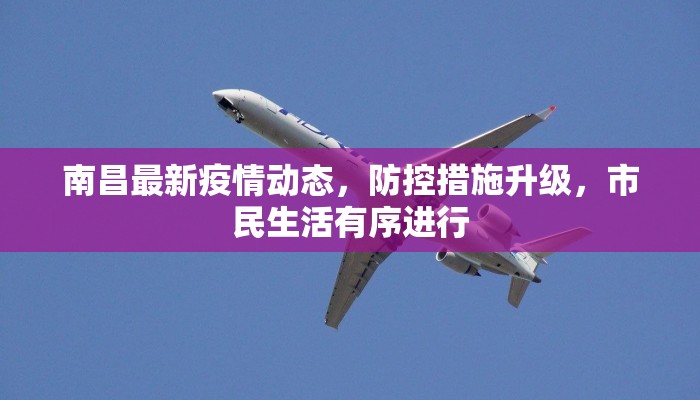南昌最新疫情动态，防控措施升级，市民生活有序进行