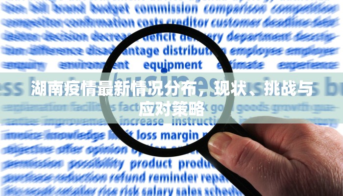 湖南疫情最新情况分布，现状、挑战与应对策略