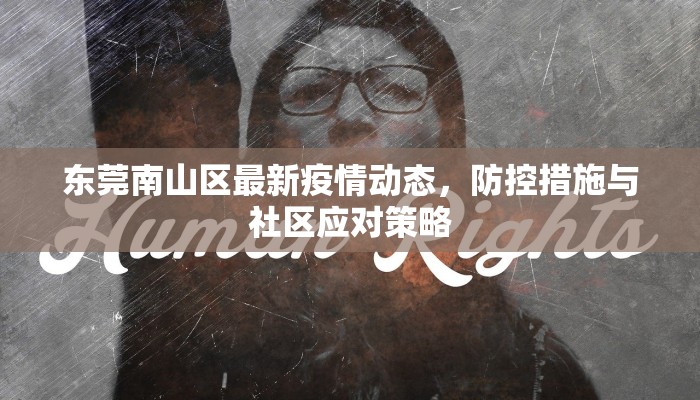 东莞南山区最新疫情动态，防控措施与社区应对策略