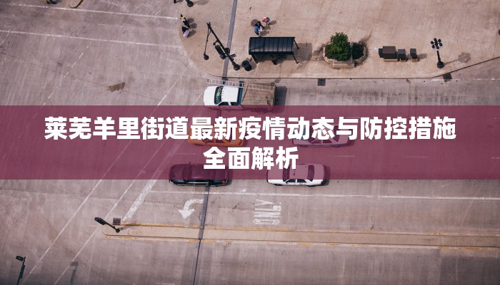 莱芜羊里街道最新疫情动态与防控措施全面解析