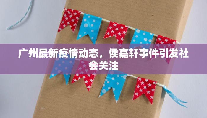 西藏全年疫情最新情况，高原净土上的防疫坚守与挑战