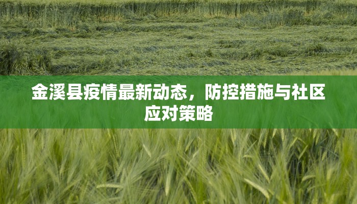 金溪县疫情最新动态，防控措施与社区应对策略