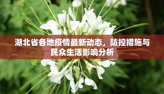 湖北省各地疫情最新动态，防控措施与民众生活影响分析