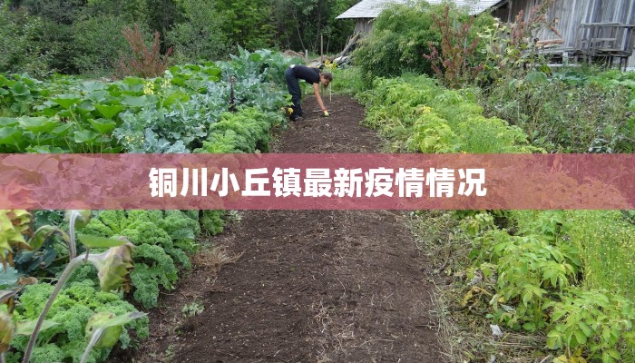 铜川小丘镇最新疫情情况
