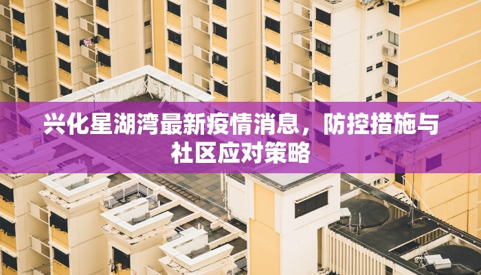 兴化星湖湾最新疫情消息，防控措施与社区应对策略