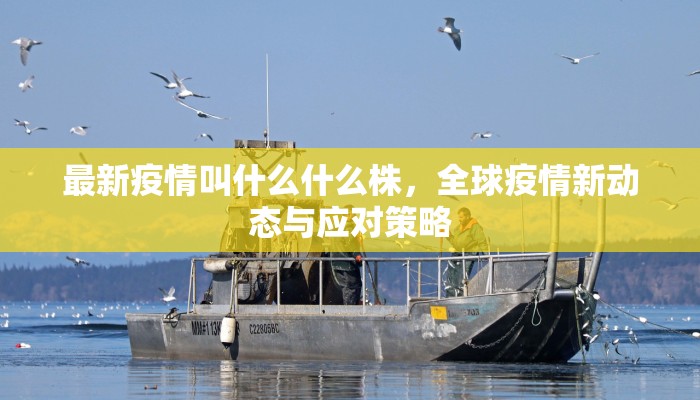 最新疫情叫什么什么株，全球疫情新动态与应对策略