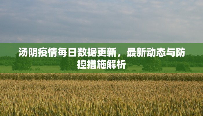 汤阴疫情每日数据更新，最新动态与防控措施解析