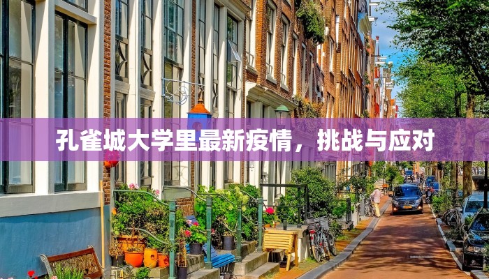 孔雀城大学里最新疫情，挑战与应对