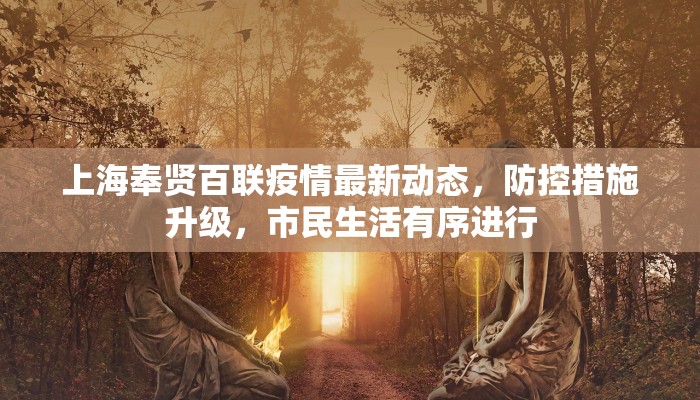 上海奉贤百联疫情最新动态，防控措施升级，市民生活有序进行