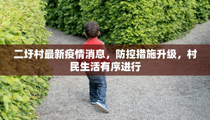 二圩村最新疫情消息，防控措施升级，村民生活有序进行
