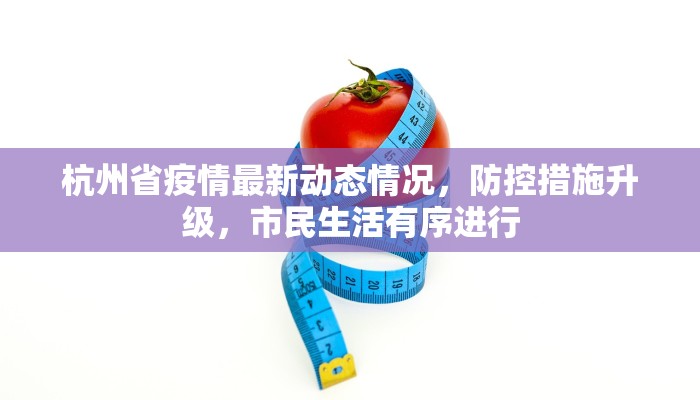 杭州省疫情最新动态情况，防控措施升级，市民生活有序进行