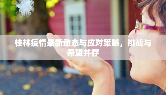 桂林疫情最新动态与应对策略，挑战与希望并存
