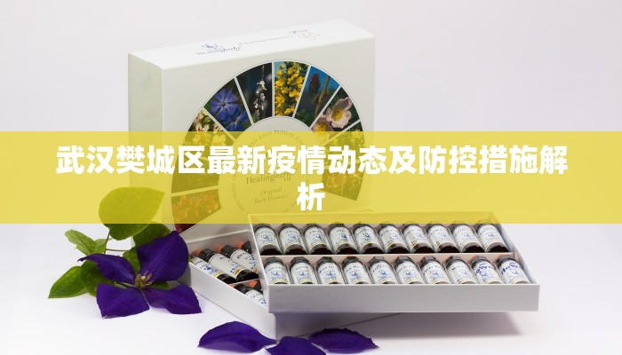 武汉樊城区最新疫情动态及防控措施解析