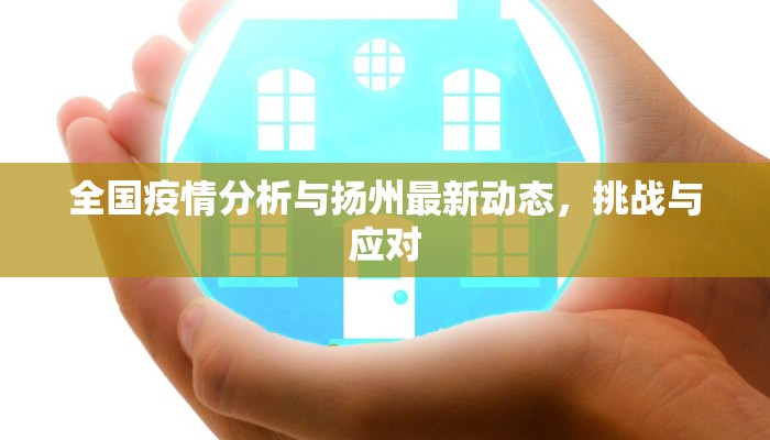 全国疫情分析与扬州最新动态，挑战与应对