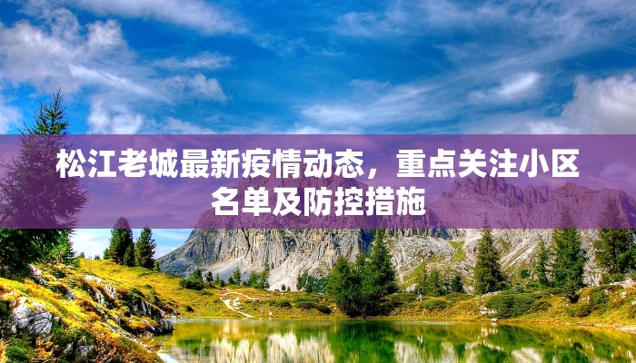 松江老城最新疫情动态，重点关注小区名单及防控措施