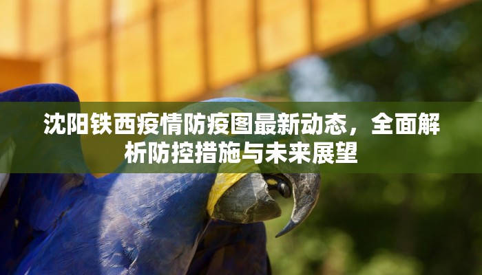 沈阳铁西疫情防疫图最新动态，全面解析防控措施与未来展望