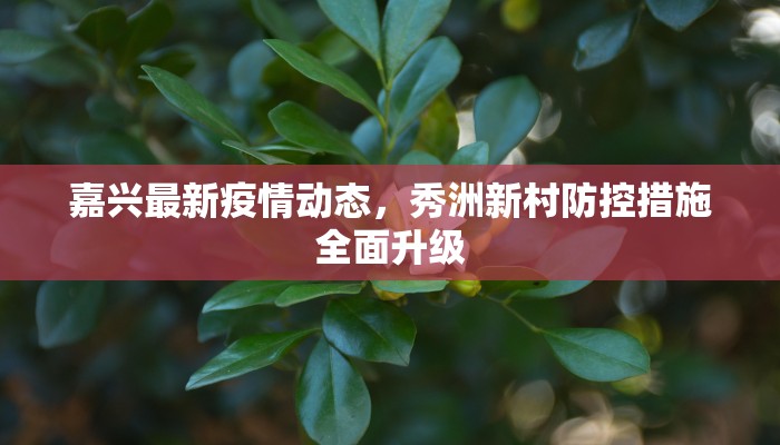 嘉兴最新疫情动态，秀洲新村防控措施全面升级