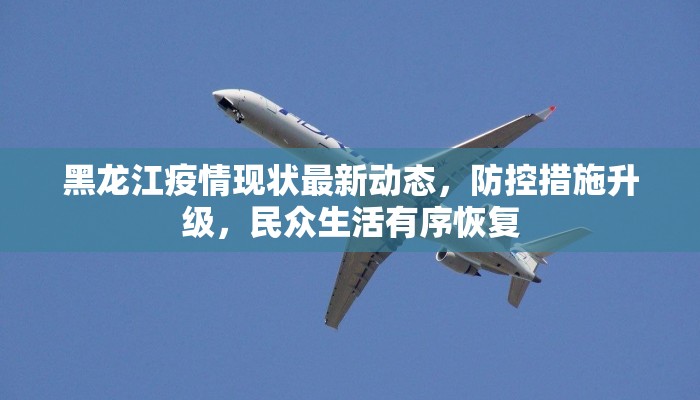 黑龙江疫情现状最新动态，防控措施升级，民众生活有序恢复