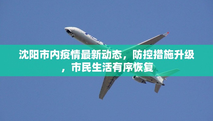 沈阳市内疫情最新动态，防控措施升级，市民生活有序恢复