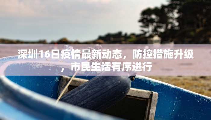 深圳16日疫情最新动态，防控措施升级，市民生活有序进行
