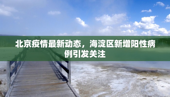 北京疫情最新动态，海淀区新增阳性病例引发关注