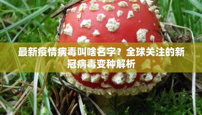 最新疫情病毒叫啥名字？全球关注的新冠病毒变种解析