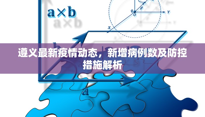 遵义最新疫情动态，新增病例数及防控措施解析