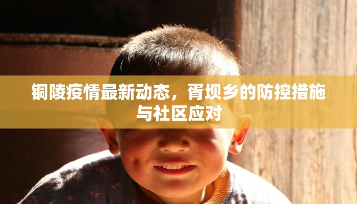 铜陵疫情最新动态，胥坝乡的防控措施与社区应对