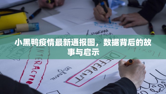 小黑鸭疫情最新通报图，数据背后的故事与启示