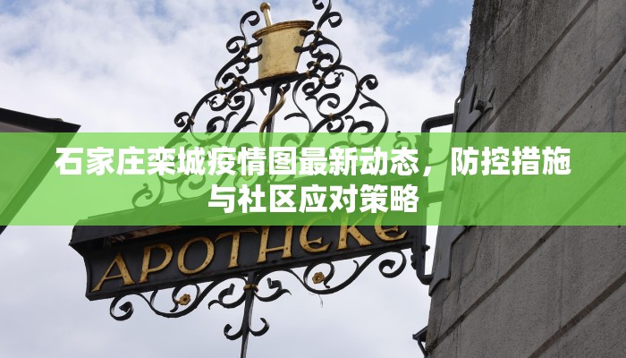 石家庄栾城疫情图最新动态，防控措施与社区应对策略