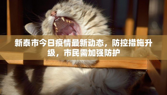 新泰市今日疫情最新动态，防控措施升级，市民需加强防护