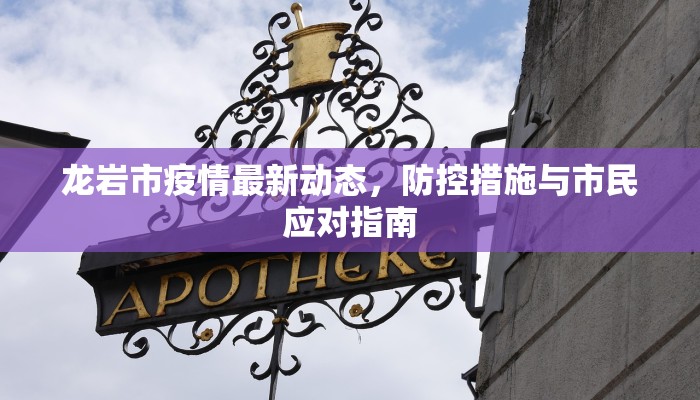 龙岩市疫情最新动态，防控措施与市民应对指南
