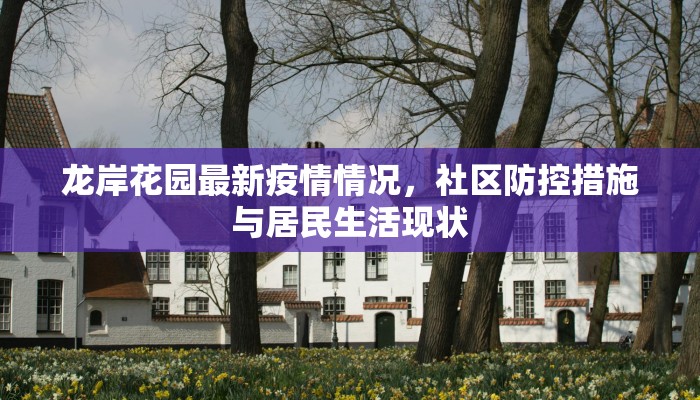 龙岸花园最新疫情情况，社区防控措施与居民生活现状