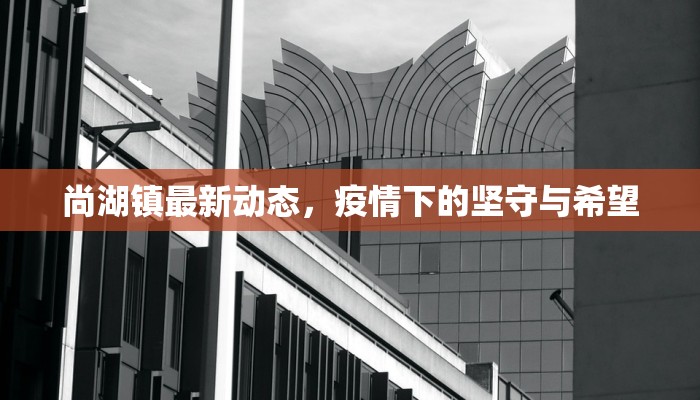 尚湖镇最新动态，疫情下的坚守与希望