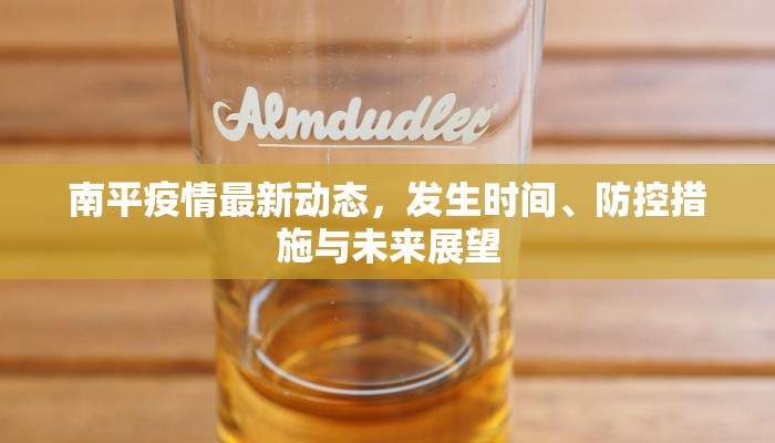 南平疫情最新动态，发生时间、防控措施与未来展望