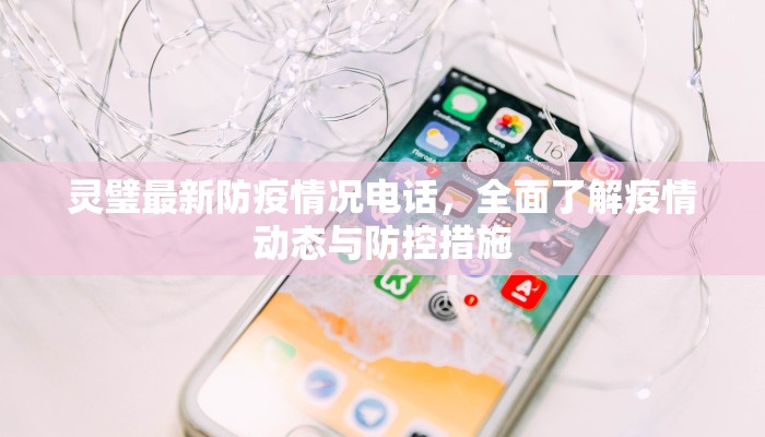灵璧最新防疫情况电话，全面了解疫情动态与防控措施