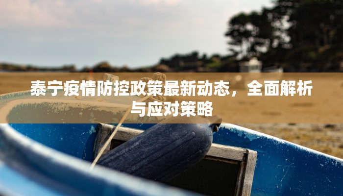 泰宁疫情防控政策最新动态，全面解析与应对策略