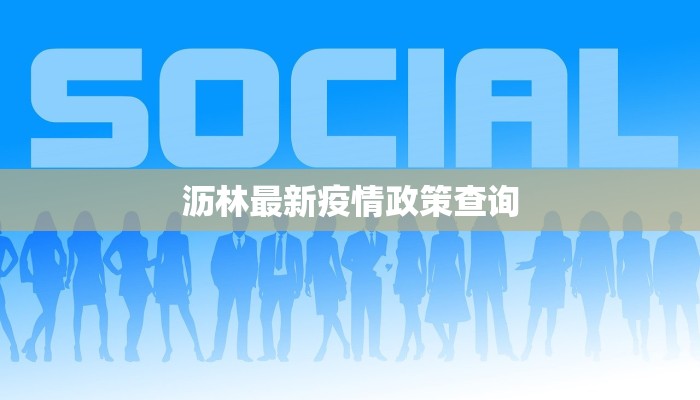 沥林最新疫情政策查询