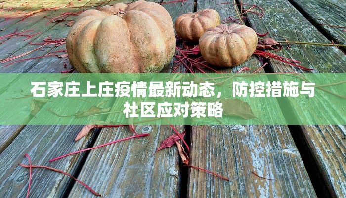 石家庄上庄疫情最新动态，防控措施与社区应对策略