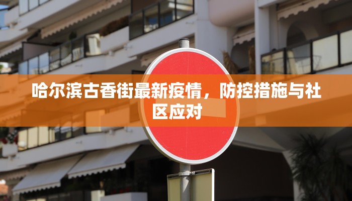 哈尔滨古香街最新疫情，防控措施与社区应对