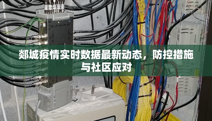 郯城疫情实时数据最新动态，防控措施与社区应对