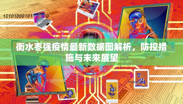 衡水枣强疫情最新数据图解析，防控措施与未来展望