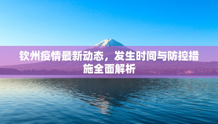 钦州疫情最新动态，发生时间与防控措施全面解析