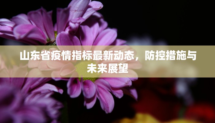 山东省疫情指标最新动态，防控措施与未来展望