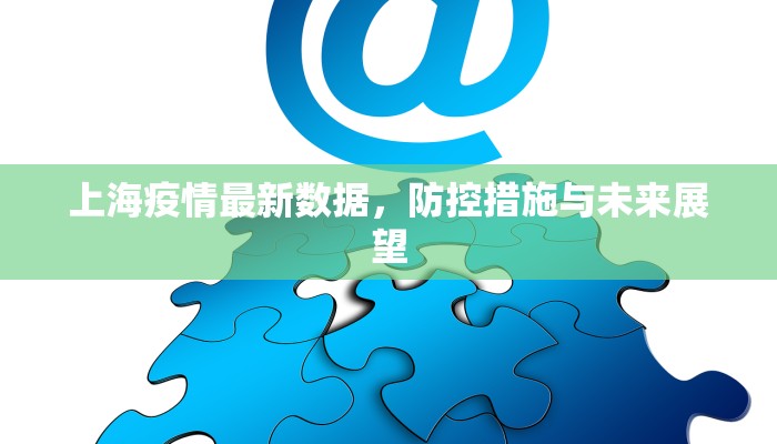 上海疫情最新数据，防控措施与未来展望