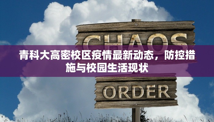 青科大高密校区疫情最新动态，防控措施与校园生活现状