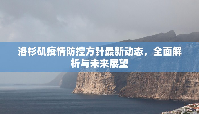 洛杉矶疫情防控方针最新动态，全面解析与未来展望