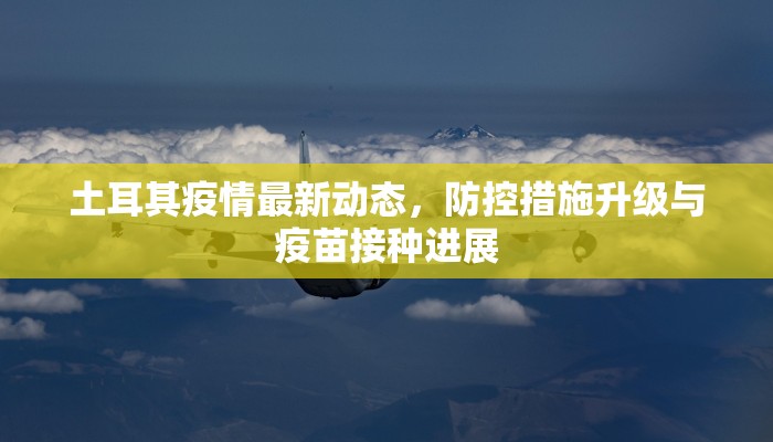 土耳其疫情最新动态，防控措施升级与疫苗接种进展