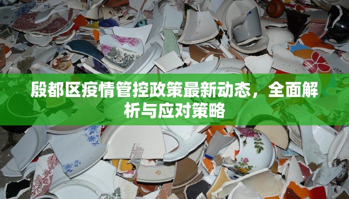 殷都区疫情管控政策最新动态，全面解析与应对策略