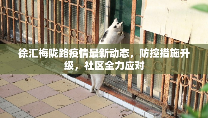 徐汇梅陇路疫情最新动态，防控措施升级，社区全力应对